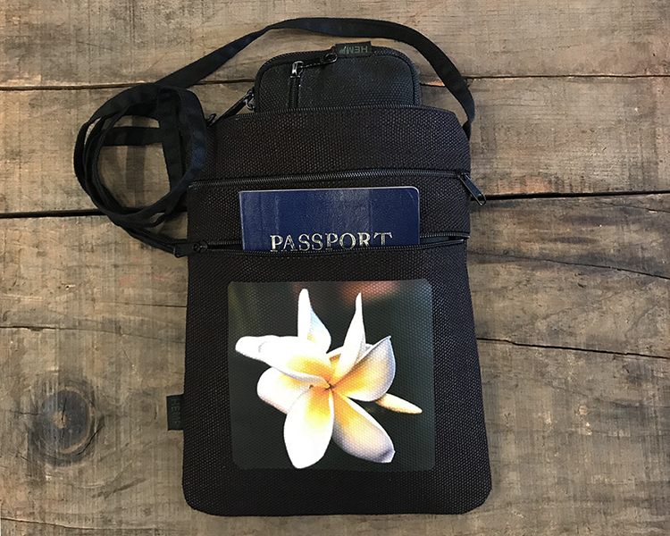 -plumeria-600-pxl.jpg -plumeria-600-pxl.jpg